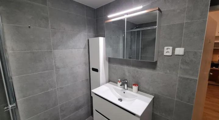 Apartment Krakovska 20 프라하 외부 사진